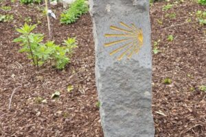 20190517_161017 20190517_161017