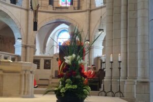 20190609_105045 20190609_105045