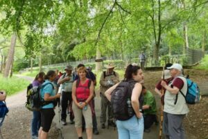 20190609_124412 20190609_124412