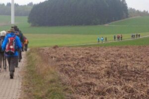 14642151_1469795069702388_7998998209870797616_n 14642151_1469795069702388_7998998209870797616_n