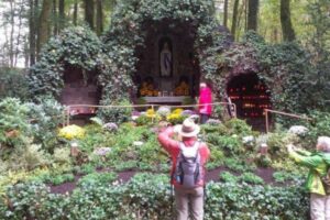 14725531_1469795166369045_1870119708236230236_n 14725531_1469795166369045_1870119708236230236_n