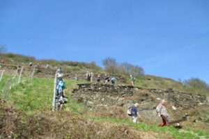 17498964_744098339099668_5831719499752716694_n 17498964_744098339099668_5831719499752716694_n