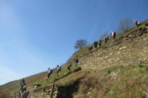 17499223_744098255766343_7233362676421655965_n 17499223_744098255766343_7233362676421655965_n