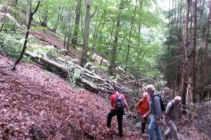 20140817_125350 20140817_125350