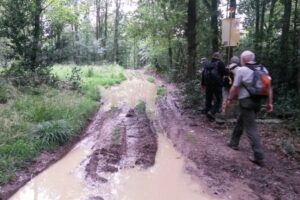 20140817_131559 20140817_131559