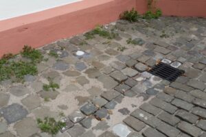 20150725_162859 20150725_162859