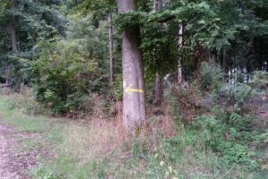 20150926_103819 20150926_103819