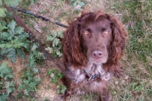 20150926_143247 20150926_143247