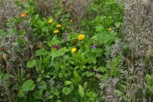 20150926_143320 20150926_143320