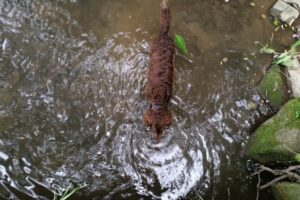 20150926_145621 20150926_145621