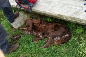 20150926_155741 20150926_155741