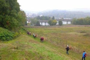 20161023_jakobsweg-kus-wnd_0265 20161023_jakobsweg-kus-wnd_0265