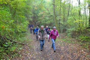 20161023_jakobsweg-kus-wnd_0289 20161023_jakobsweg-kus-wnd_0289