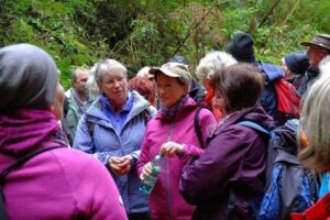 20161023_jakobsweg-kus-wnd_0330 20161023_jakobsweg-kus-wnd_0330