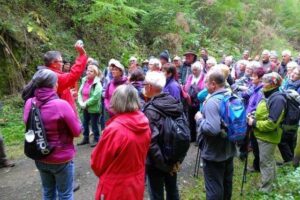 20161023_jakobsweg-kus-wnd_0334 20161023_jakobsweg-kus-wnd_0334