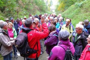 20161023_jakobsweg-kus-wnd_0336 20161023_jakobsweg-kus-wnd_0336