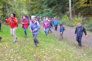 20161023_jakobsweg-kus-wnd_0351 20161023_jakobsweg-kus-wnd_0351