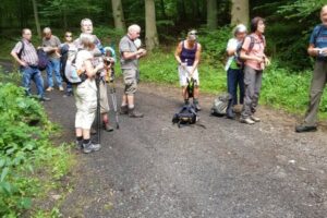 20170723_095306 20170723_095306