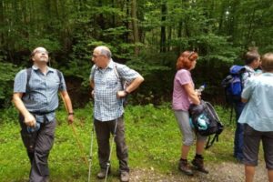 20170723_095316 20170723_095316