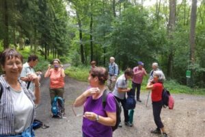 20170723_095321 20170723_095321