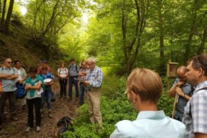 20170723_134253 20170723_134253