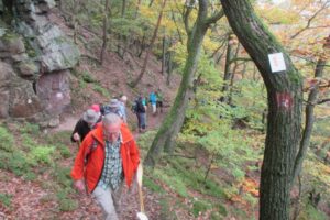 22459205_848203775355790_6985751475911735401_o 22459205_848203775355790_6985751475911735401_o