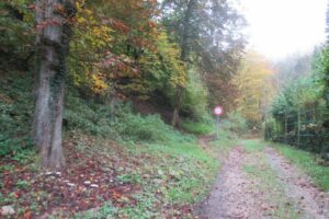 22496387_848203692022465_7481118990929735029_o 22496387_848203692022465_7481118990929735029_o