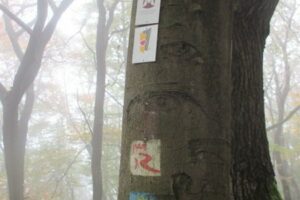 22519371_848203985355769_3747004649319561952_n 22519371_848203985355769_3747004649319561952_n