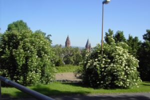 blick-zuruck-auf-mainzer-dom blick-zuruck-auf-mainzer-dom
