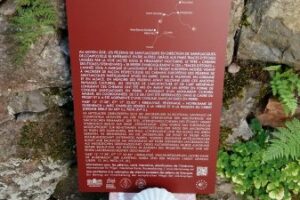 dusenbach-15-08-16-002 dusenbach-15-08-16-002