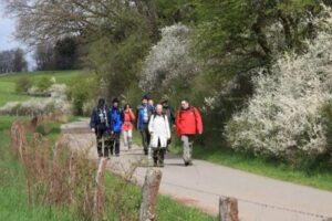 fb_img_1495891107544 fb_img_1495891107544