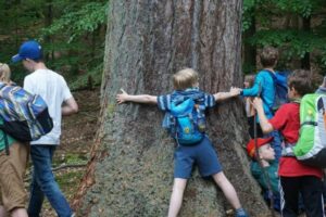 fb_img_1495891463104 fb_img_1495891463104