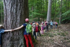 fb_img_1495891470361 fb_img_1495891470361