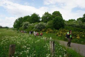 fb_img_1495891477604 fb_img_1495891477604