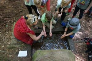 fb_img_1495891510554 fb_img_1495891510554