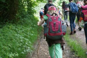 fb_img_1495891539518 fb_img_1495891539518