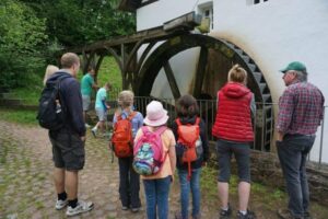 fb_img_1495891552228 fb_img_1495891552228