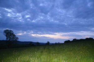 fb_img_1495891597869 fb_img_1495891597869