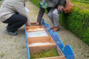 fb_img_1495891819424 fb_img_1495891819424