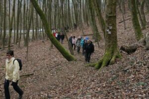 fb_img_1495891996184 fb_img_1495891996184