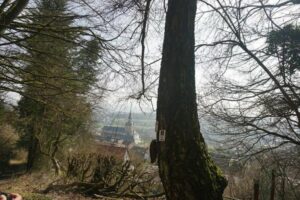 fb_img_1495892076107 fb_img_1495892076107