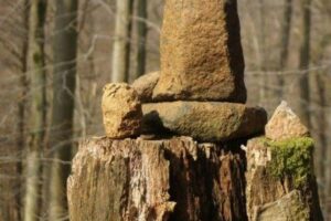 fb_img_1495892082872 fb_img_1495892082872