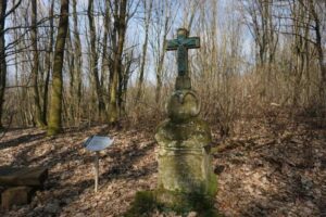 fb_img_1495892089452 fb_img_1495892089452