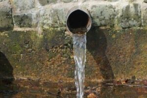 fb_img_1495892107585 fb_img_1495892107585