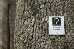 fb_img_1495892127082 fb_img_1495892127082