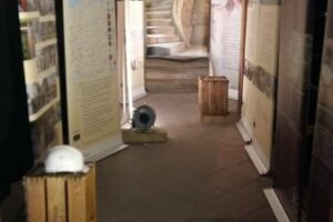 haus-zum-maulbeerbaum-16-10-16-002 haus-zum-maulbeerbaum-16-10-16-002