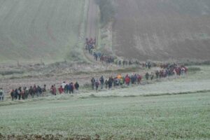 rauhreif-am-morgen-des-zweiten-tages rauhreif-am-morgen-des-zweiten-tages